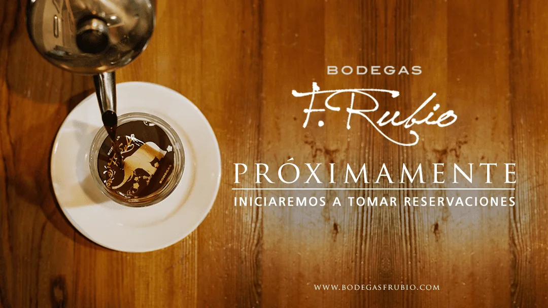Portafolio-Redes-Sociales-Diseno-Web13.webp