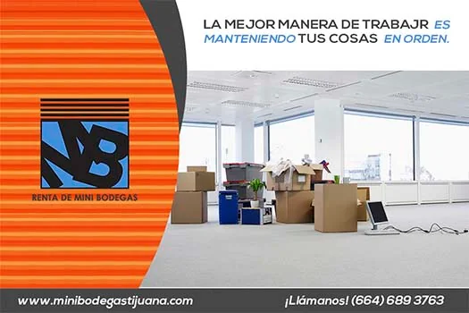 Portafolio-Redes-Sociales-Diseno-Web2.webp