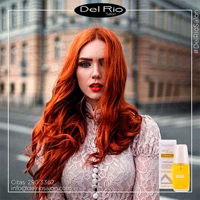Portafolio-Redes-Sociales-Diseno-Web21.webp