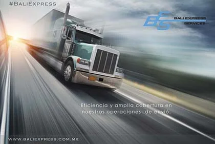 Portafolio-Redes-Sociales-Diseno-Web26.webp