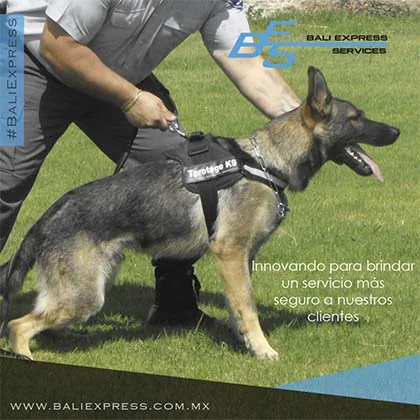 Portafolio-Redes-Sociales-Diseno-Web35.webp