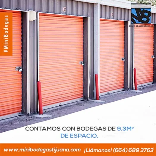 Portafolio-Redes-Sociales-Diseno-Web40.webp